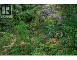 Lot 1 Cliff Rd, Quadra Island, BC V0P1N0 Photo 9