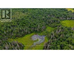 286 Halls Road E, Magnetawan, ON P0A1Z0 Photo 10