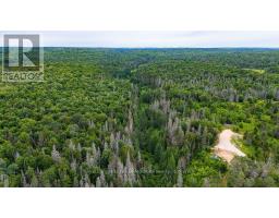 286 Halls Road E, Magnetawan, ON P0A1Z0 Photo 12
