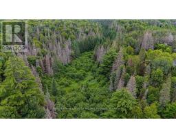 286 Halls Road E, Magnetawan, ON P0A1Z0 Photo 14