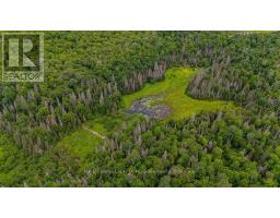 286 Halls Road E, Magnetawan, ON P0A1Z0 Photo 17