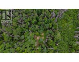 286 Halls Road E, Magnetawan, ON P0A1Z0 Photo 20