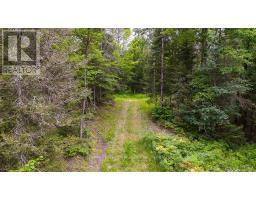 286 Halls Road E, Magnetawan, ON P0A1Z0 Photo 6