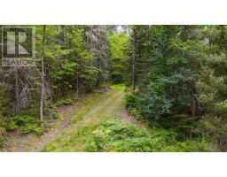 286 Halls Road E, Magnetawan, ON P0A1Z0 Photo 7