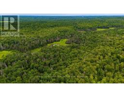 286 Halls Road E, Magnetawan, ON P0A1Z0 Photo 8