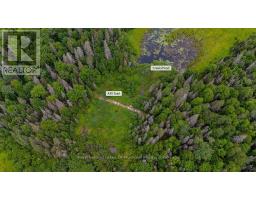 286 Halls Road E, Magnetawan, ON P0A1Z0 Photo 9