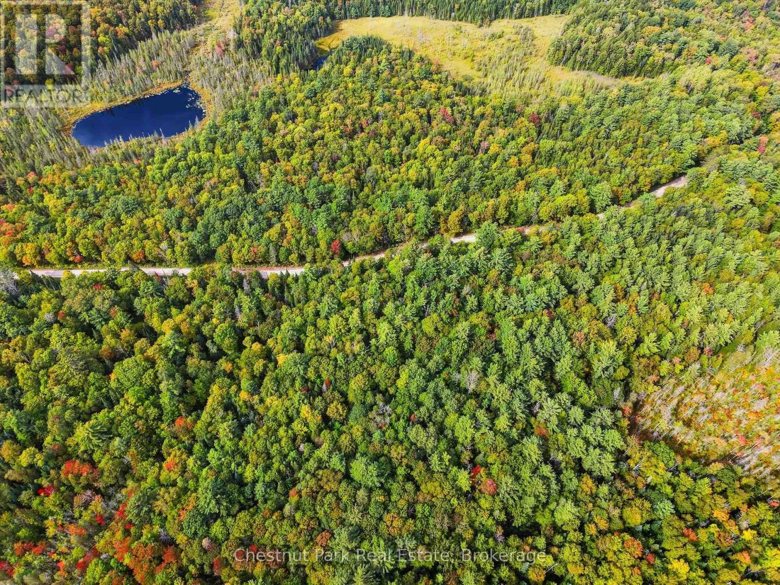00 PAINT LAKE ROAD