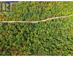 00 Paint Lake Road, Lake Of Bays, ON P0B1A0 Photo 10