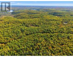 00 Paint Lake Road, Lake Of Bays, ON P0B1A0 Photo 12