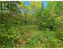 00 Paint Lake Road, Lake Of Bays, ON P0B1A0 Photo 7