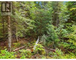 00 Paint Lake Road, Lake Of Bays, ON P0B1A0 Photo 8