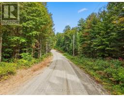 00 Paint Lake Road, Lake Of Bays, ON P0B1A0 Photo 9