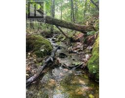 519 J W Mucculloch Road, Meiklefield, NS B2H5C8 Photo 12
