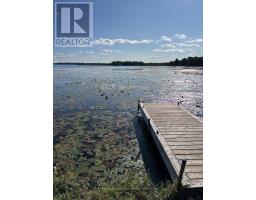 266 Lake Road, Trent Hills, ON K0K2M0 Photo 14