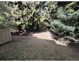 90 8844 208 Street, Langley, BC V1M3X7 Photo 15