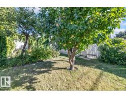 6003 95 Av Nw, Edmonton, AB T6B1A4 Photo 29