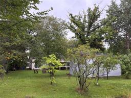 177 Campbell Avenue W, Dauphin, MB R0L1K0 Photo 10