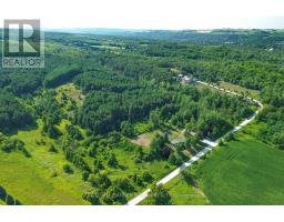 3430 Concession 3 S, Clearview, ON L0M1G0 Photo 35