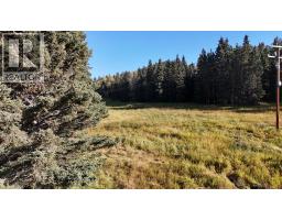 50 Acres Range Road 60, Rural Rocky View County, AB T0L0W0 Photo 11