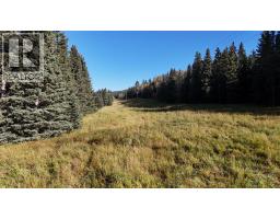 50 Acres Range Road 60, Rural Rocky View County, AB T0L0W0 Photo 12