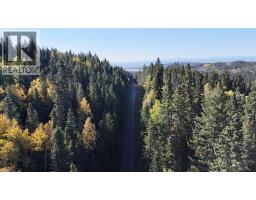 50 Acres Range Road 60, Rural Rocky View County, AB T0L0W0 Photo 13