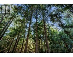 2375 Damascus Rd, Shawnigan Lake, BC V8H2E7 Photo 73