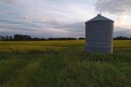108 108w And 16 Highway, Minnedosa, MB R0J1E0 Photo 7