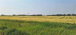 108 108w And 16 Highway, Minnedosa, MB R0J1E0 Photo 6