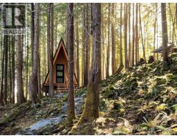 1947 Blubber Bay Rd, Texada Island, BC V0N3K0 Photo 33