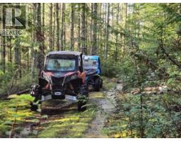 1947 Blubber Bay Rd, Texada Island, BC V0N3K0 Photo 46