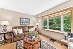 401 Queen Avenue, Selkirk, MB R1A1G2 Photo 11