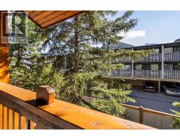 203, 404 Marten Street, Banff, AB T1L1C6 Photo 22