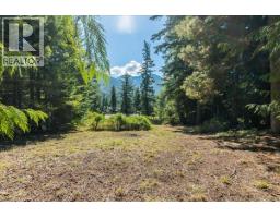 7641 3a Highway, Balfour, BC V1L6N1 Photo 53