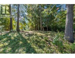 7641 3a Highway, Balfour, BC V1L6N1 Photo 52
