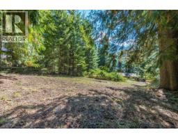 7641 3a Highway, Balfour, BC V1L6N1 Photo 51