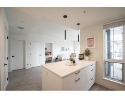 A507 20018 83a Avenue, Langley, BC V2Y3P3 Photo 17