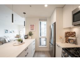 A507 20018 83a Avenue, Langley, BC V2Y3P3 Photo 18
