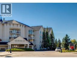 101, 305 1 Avenue Nw, Airdrie, AB T4B2M5 Photo 24