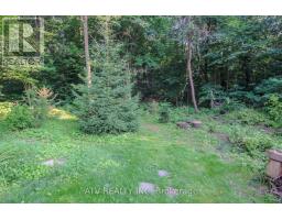 235 Saint Marks Road, Toronto, ON M6S2J1 Photo 15