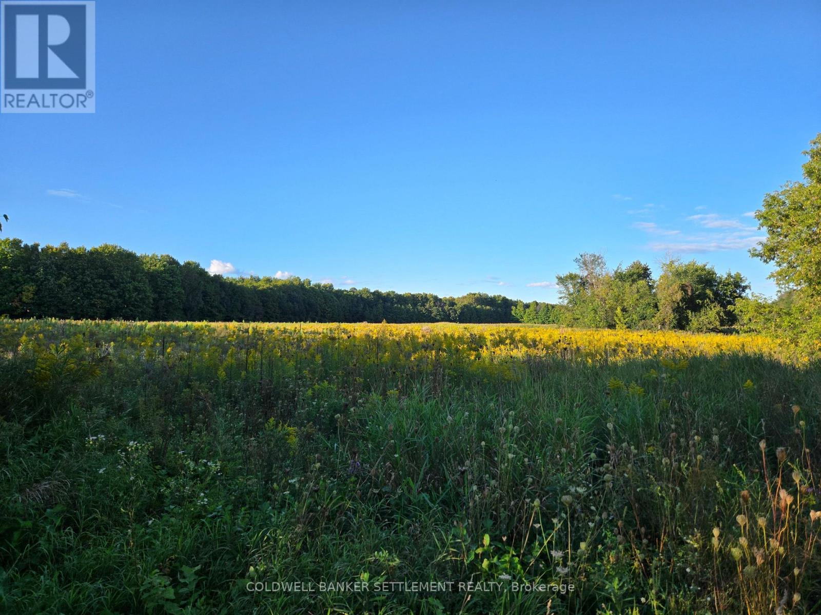 LOT 2 BUSH ROAD, Rideau Lakes — photo 2