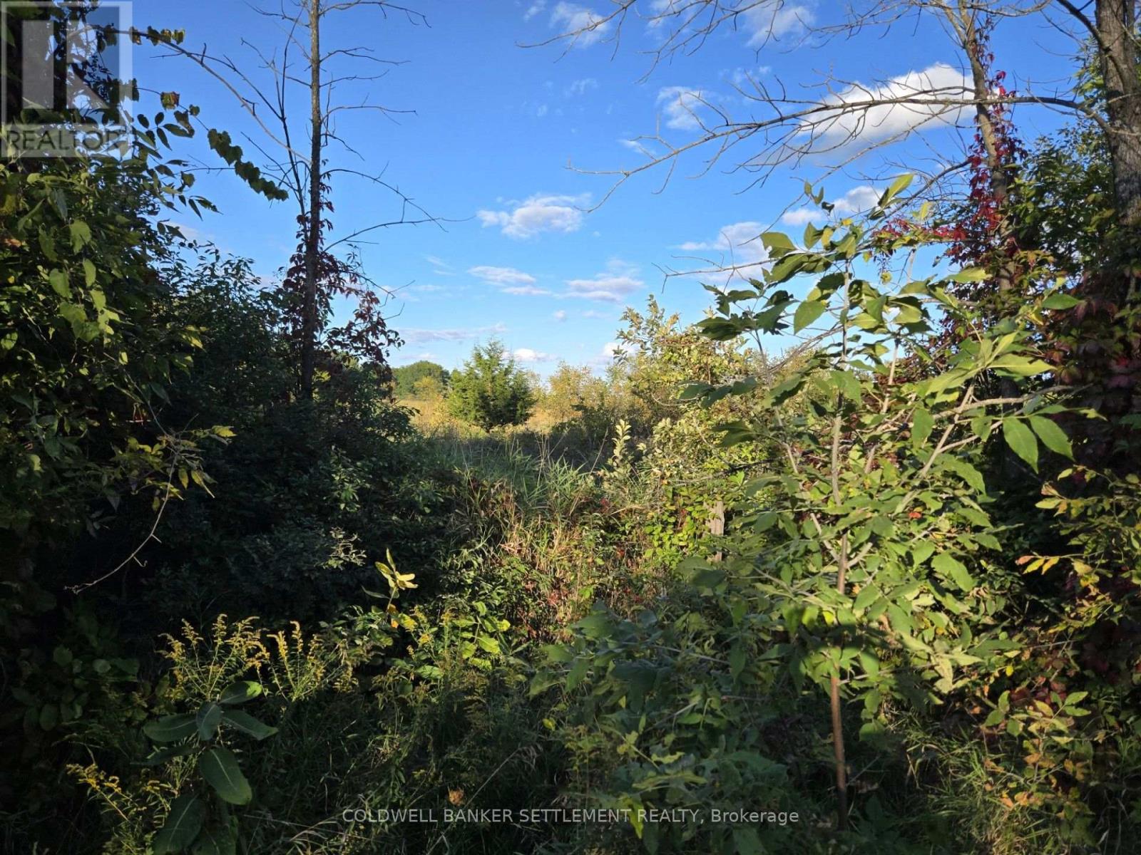 5 BUSH ROAD, Rideau Lakes — photo 2