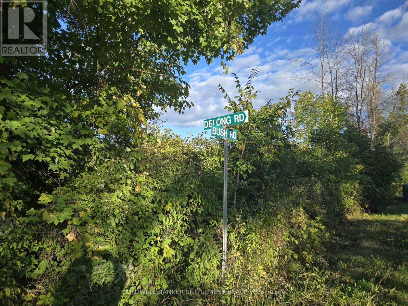 5 BUSH ROAD, Rideau Lakes — photo 3