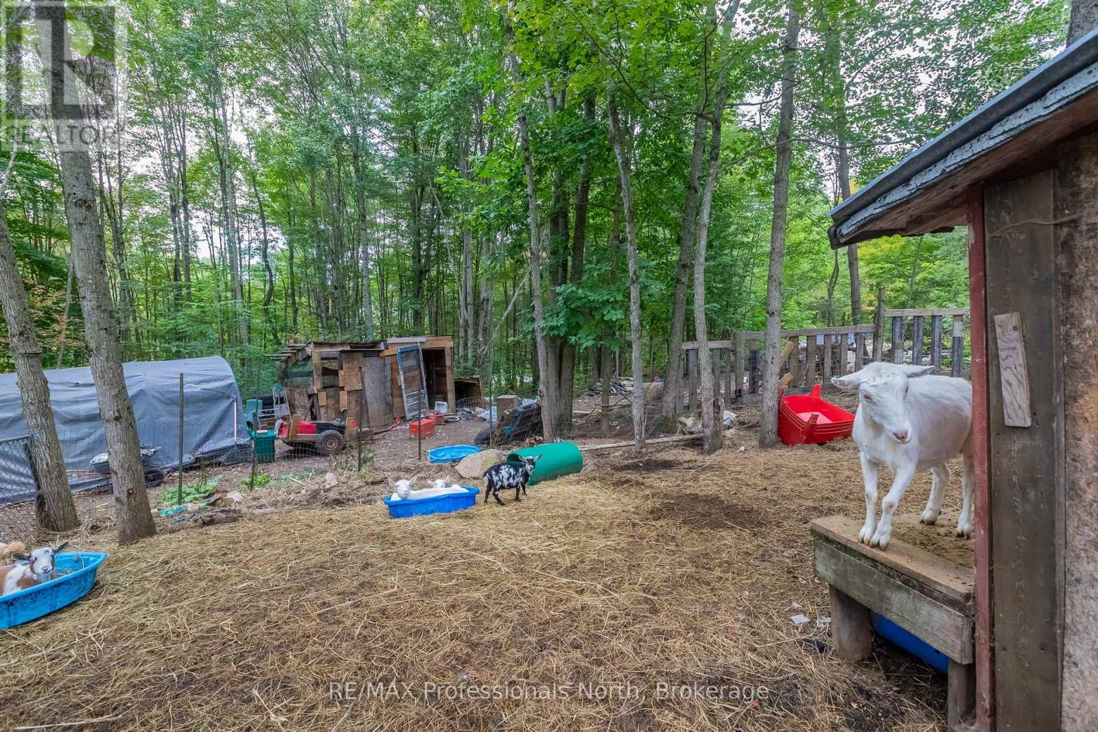42 MORGANS ROAD, Huntsville (Chaffey) — photo 11