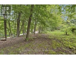 437 Drewery Street, Brighton, ON K0K1H0 Photo 29