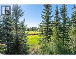 53 Crystal Green Drive, Okotoks, AB T1S2N7 Photo 39