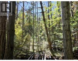 Lots A & B Kane Road, Nelson, BC V1L6S9 Photo 10