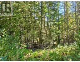Lots A & B Kane Road, Nelson, BC V1L6S9 Photo 6