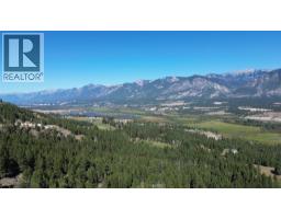 Toby Ridge Road, Invermere, BC V0A1K5 Photo 7