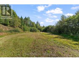 834 Hybla Road, Hastings Highlands, ON K0L1C0 Photo 26