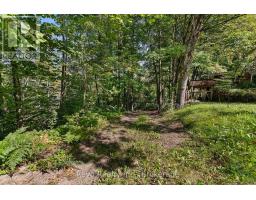 834 Hybla Road, Hastings Highlands, ON K0L1C0 Photo 28